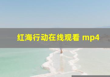 红海行动在线观看 mp4